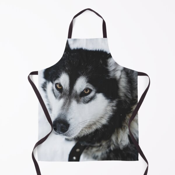 Item preview, Malamute Dog On a Snow Field designed and sold by Danny Wanders.