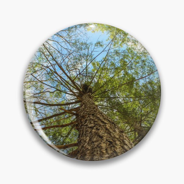 Item preview, H0014 View From Below designed and sold by photographyemd.