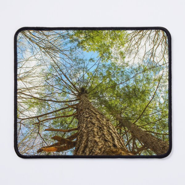 Item preview, H0014 View From Below designed and sold by photographyemd.