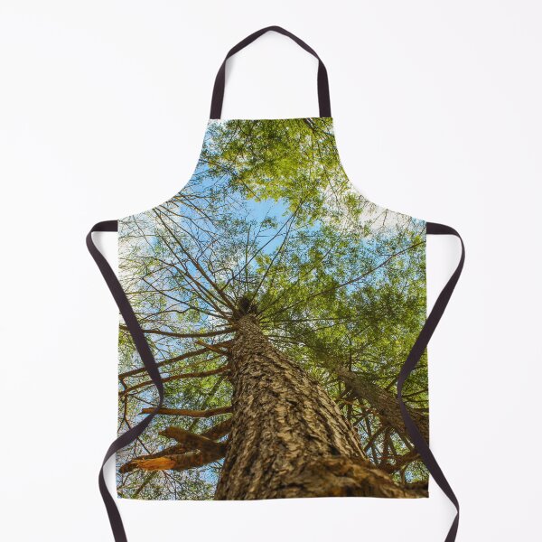 Item preview, H0014 View From Below designed and sold by photographyemd.