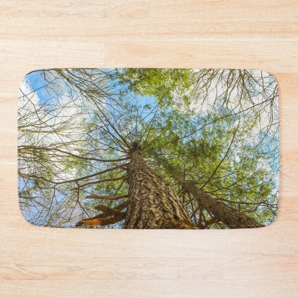 Item preview, H0014 View From Below designed and sold by photographyemd.