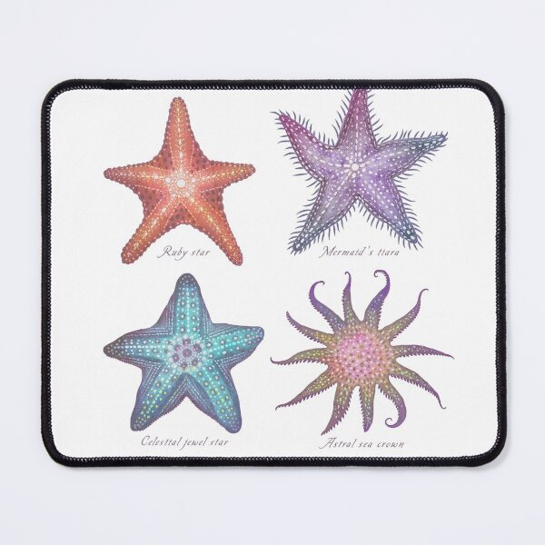 Item preview, Sea life specimens - Starfish designed and sold by Cabinet Of Curiosities by Vlad.