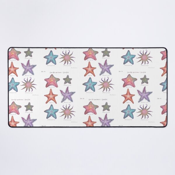 Item preview, Sea life specimens - Starfish designed and sold by Cabinet Of Curiosities by Vlad.