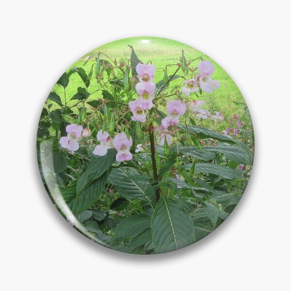 Item preview, Impatiens glandulifera - Himalayan Balsam designed and sold by lezvee.