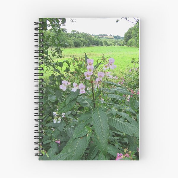 Item preview, Impatiens glandulifera - Himalayan Balsam designed and sold by lezvee.