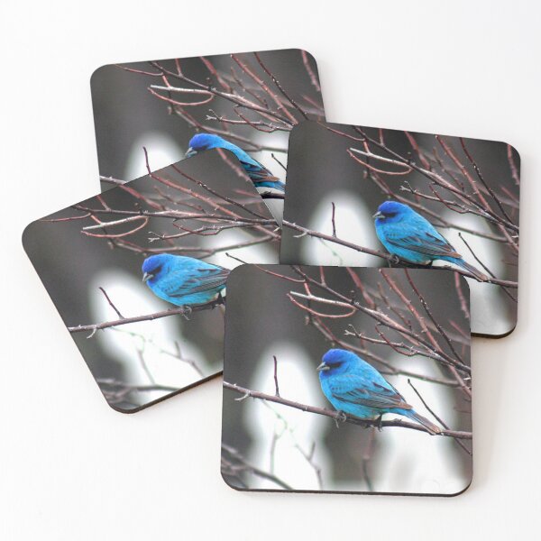 Item preview, Bluebird designed and sold by rastraus.