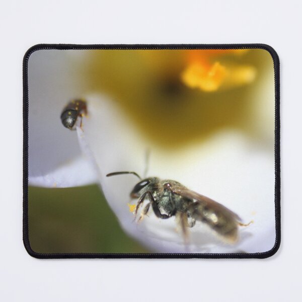 Item preview, H0010 Busy Hornet designed and sold by photographyemd.
