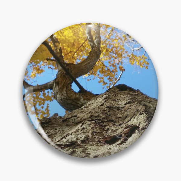 Item preview, H0009 Autumn Tree designed and sold by photographyemd.