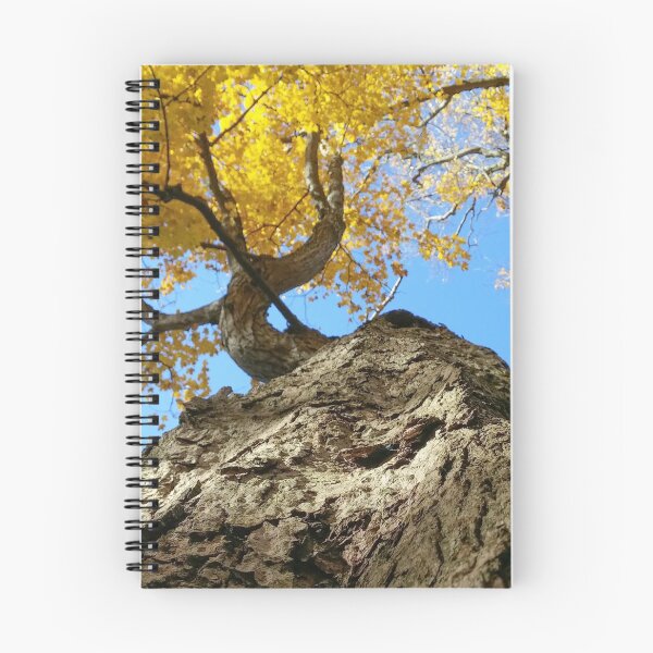 Item preview, H0009 Autumn Tree designed and sold by photographyemd.