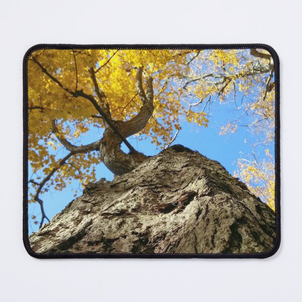 Item preview, H0009 Autumn Tree designed and sold by photographyemd.