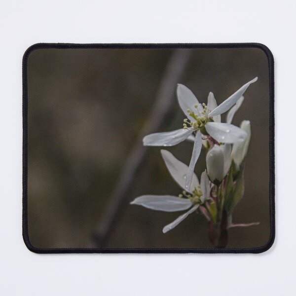 Item preview, H0007 White Flowers designed and sold by photographyemd.