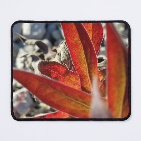 Item preview, H0004 Red Plant designed and sold by photographyemd.