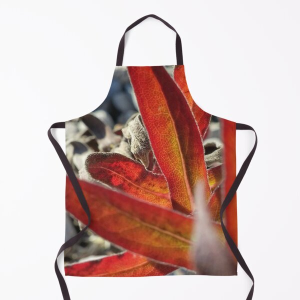 Item preview, H0004 Red Plant designed and sold by photographyemd.