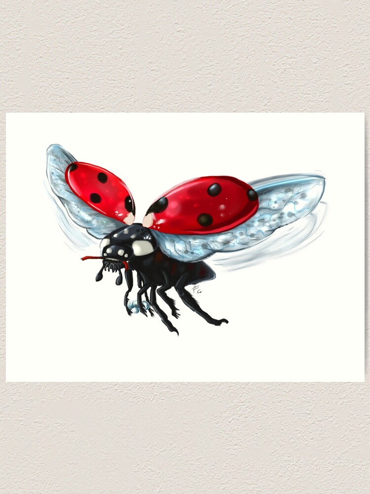 Realistic Lady Bug Fly