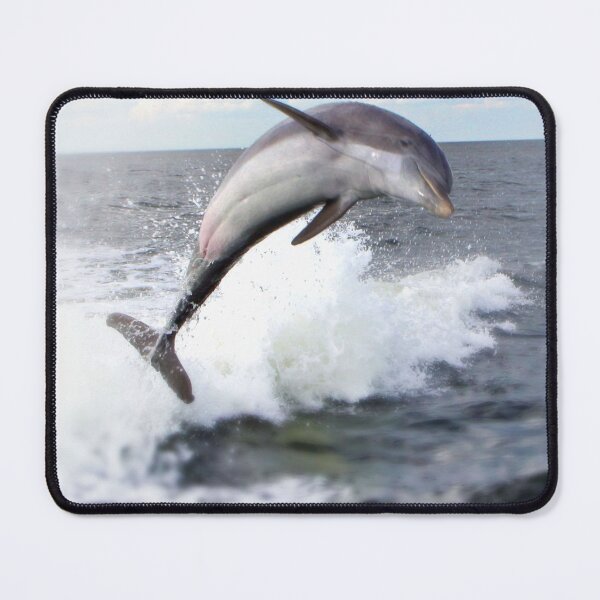 Item preview, Dolphin designed and sold by rastraus.