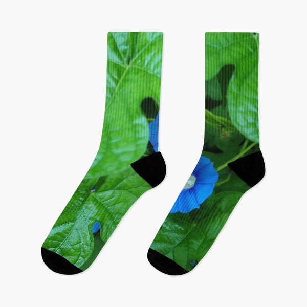 Item preview, Morning glory flowers designed and sold by zchriswit.