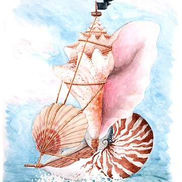 Artwork thumbnail, Shell Boat by Rey Mehlhorn