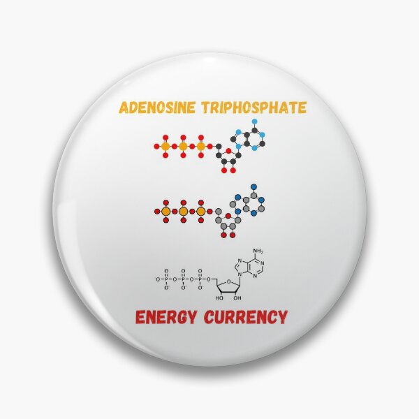 Item preview, Adenosine triphosphate chemical molecule designed and sold by Nabello.
