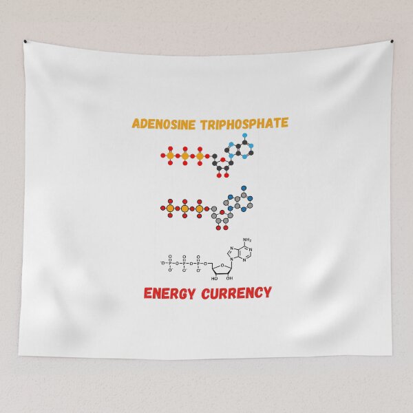 Item preview, Adenosine triphosphate chemical molecule designed and sold by Nabello.