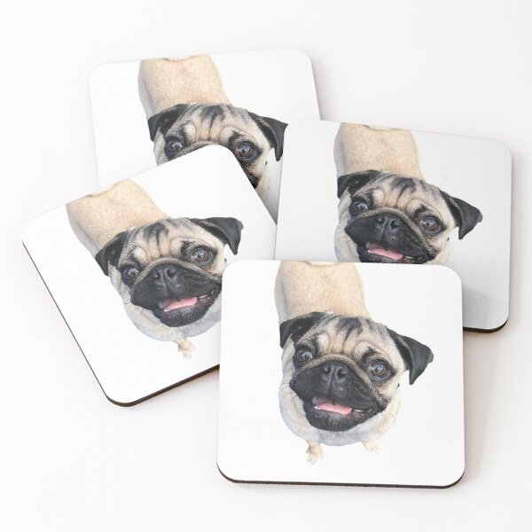 pug coasters