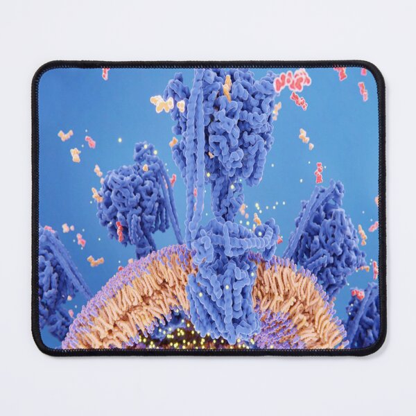 Item preview, cell respiration across the mitochondrial membrane designed and sold by Nabello.
