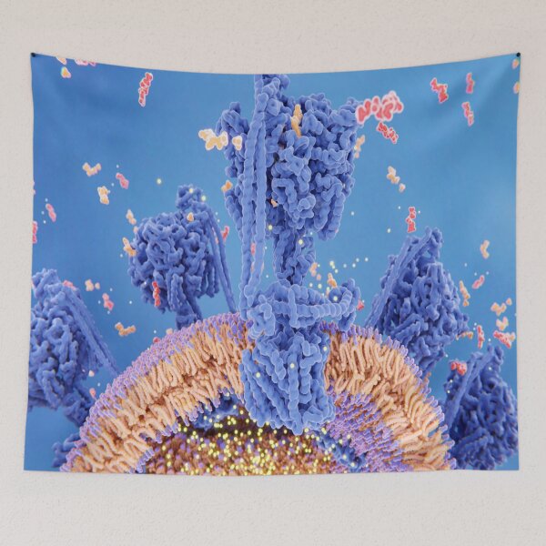 Item preview, cell respiration across the mitochondrial membrane designed and sold by Nabello.