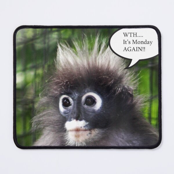 Item preview, Monkey Monday designed and sold by rastraus.