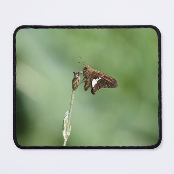 Item preview, Small Brown Moth designed and sold by Kathleen Brant.