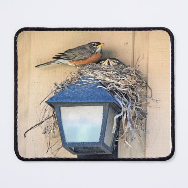 Item preview, Home Sweet Home designed and sold by Kathleen Brant.