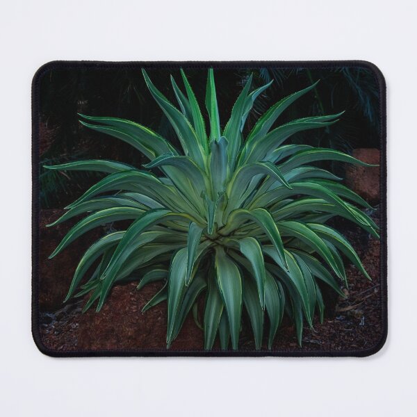 Item preview, Green Agave Plant  designed and sold by Catherine Reading.