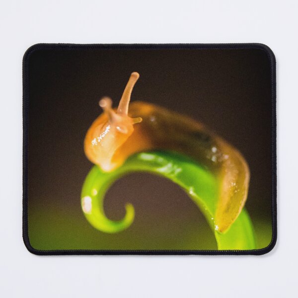 Item preview, Slug designed and sold by Gift like the GOAT.