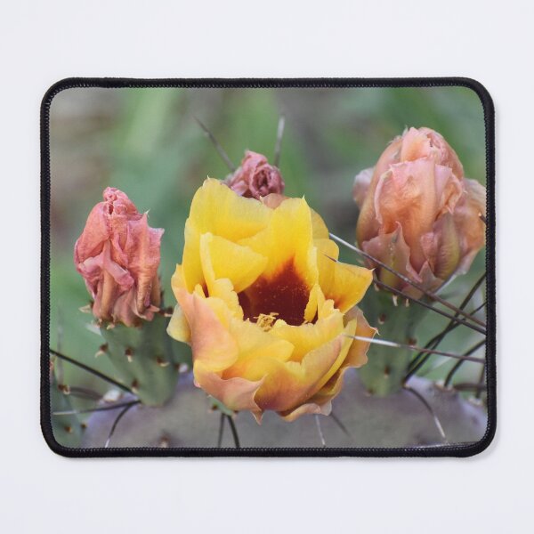 Item preview, Beginning to Bloom designed and sold by Kathleen Brant.