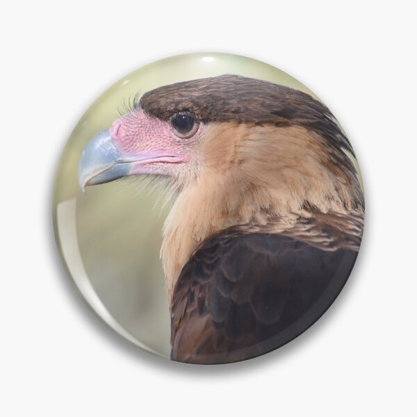 Item preview, Crested Caracara in Profile designed and sold by Kathleen Brant.