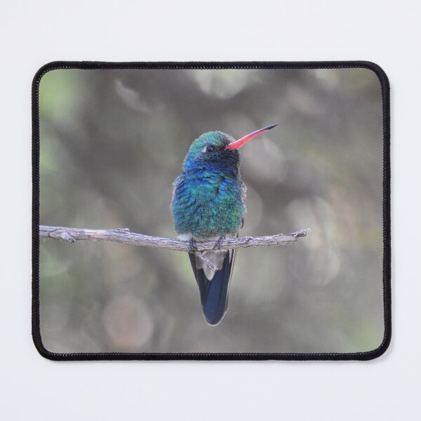 Item preview, Turquoise Hummingbird designed and sold by Kathleen Brant.