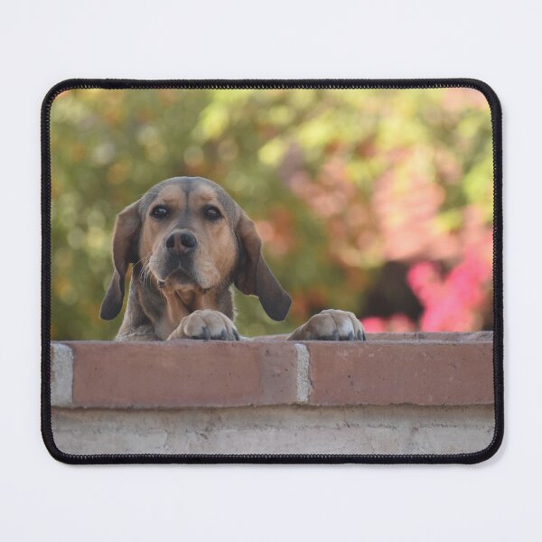 Item preview, Looking Over the Wall designed and sold by Kathleen Brant.