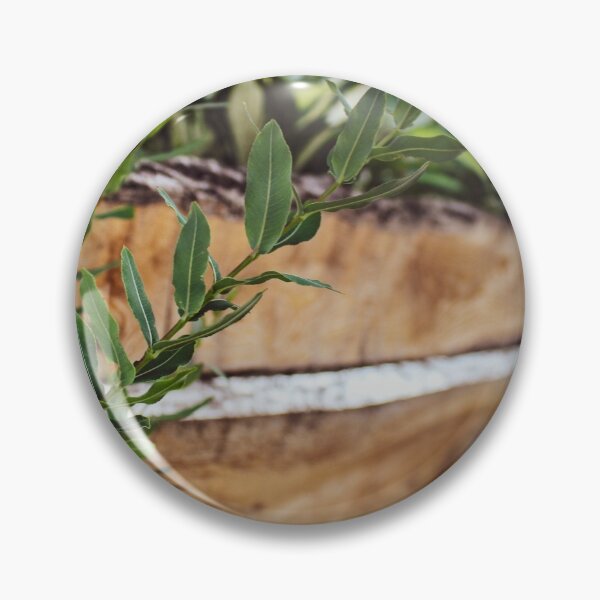 Item preview, Rustic Plant Holder full of Green Plants designed and sold by AllysiaAltck.