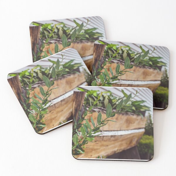 Item preview, Rustic Plant Holder full of Green Plants designed and sold by AllysiaAltck.
