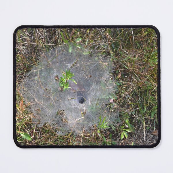 Item preview, Funnel Web designed and sold by Kathleen Brant.