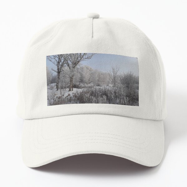 Winter Frost Brush Dad Hat