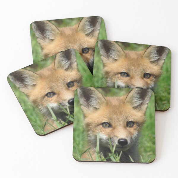 Item preview, Cute Baby Fox Pup Portrait designed and sold by Sam Morrison.