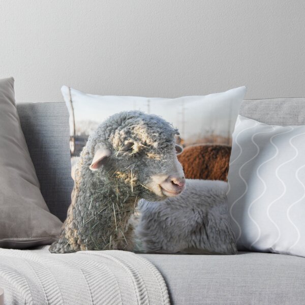 Item preview, Sheep designed and sold by MissJades.