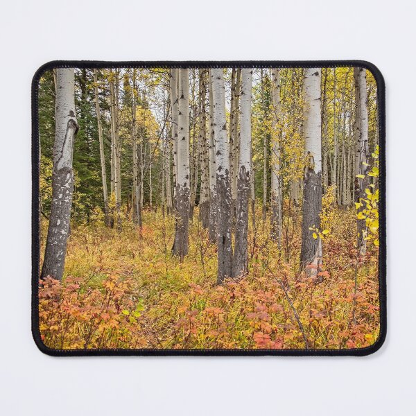 Item preview, Surrounded By Golden Autumn designed and sold by Catherine Reading.