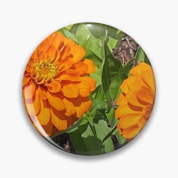 Item preview, orange zinnias designed and sold by floresenlaarena.