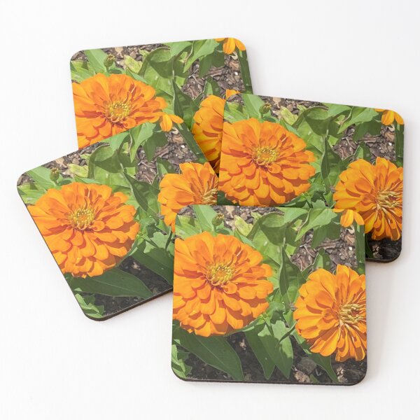 Item preview, orange zinnias designed and sold by floresenlaarena.