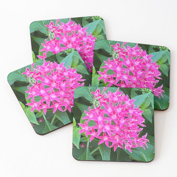 Item preview, pink pentas designed and sold by floresenlaarena.