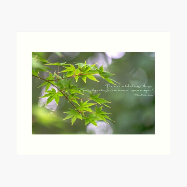 Magic Things Art Print