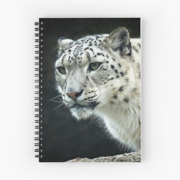 Item preview, Snow Leopard Portrait designed and sold by Catherine Reading.