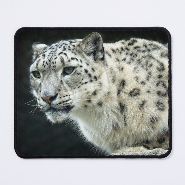 Item preview, Snow Leopard Portrait designed and sold by Catherine Reading.