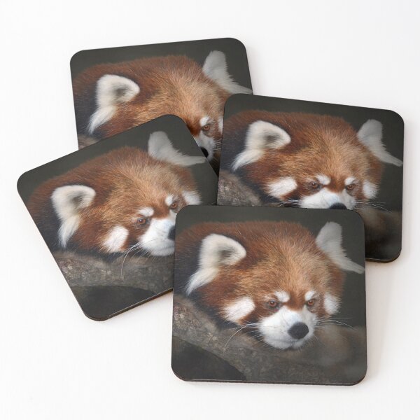 Item preview, Red Panda designed and sold by Savannah Gibbs.