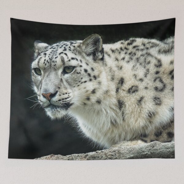 Item preview, Snow Leopard Portrait designed and sold by Catherine Reading.